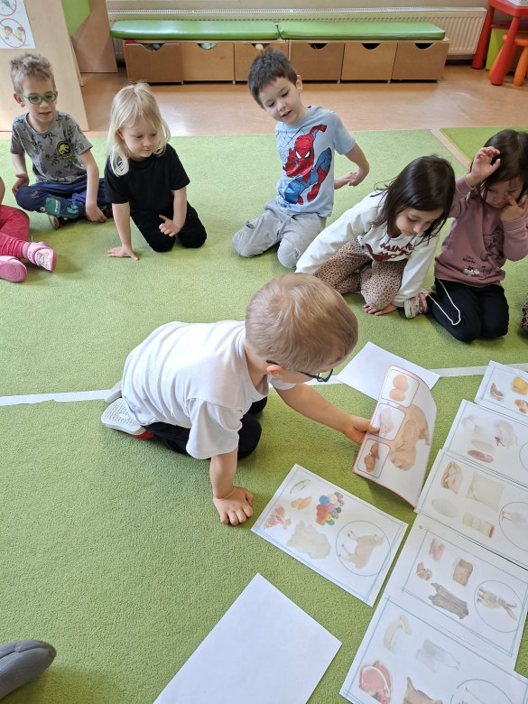 Sówki: Kwiecień 2026 - Zdjęcie 157