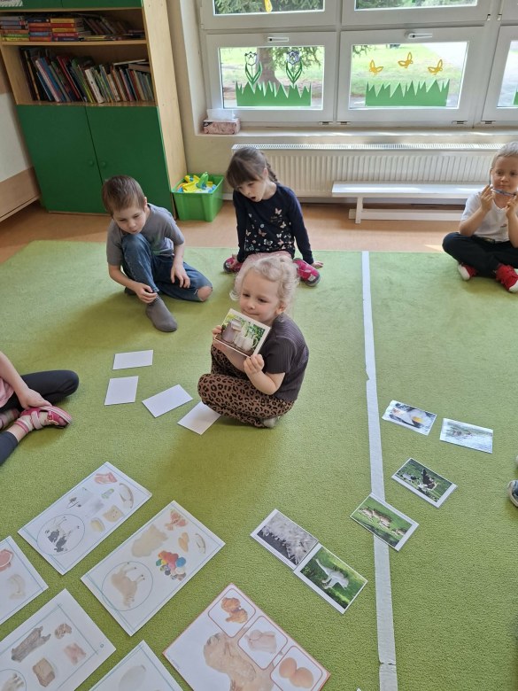 Sówki: Kwiecień 2026 - Zdjęcie 197