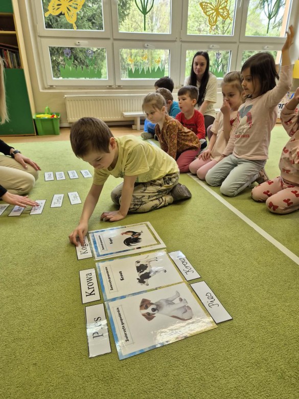 Sówki: Kwiecień 2026 - Zdjęcie 224
