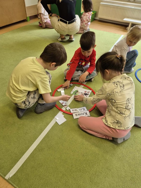 Sówki: Kwiecień 2026 - Zdjęcie 225