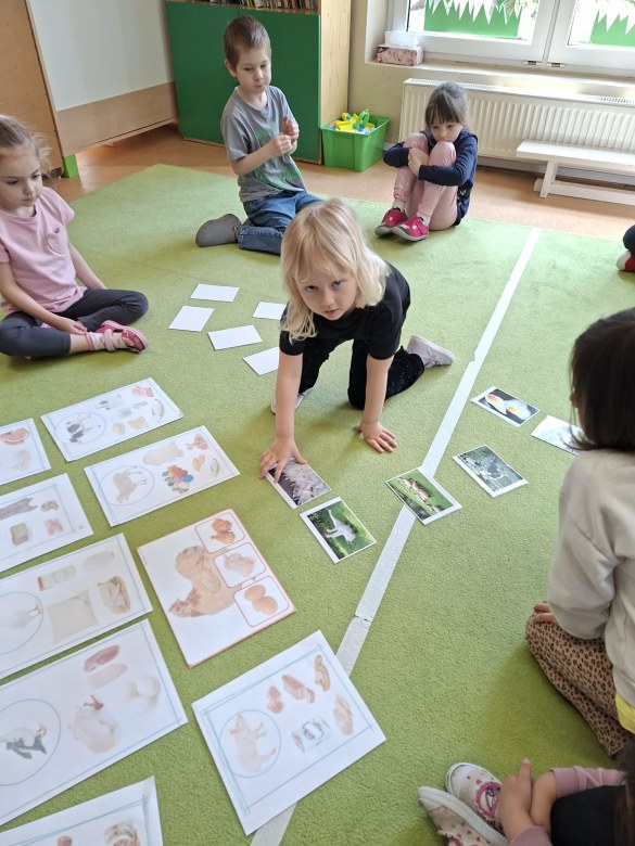 Sówki: Kwiecień 2026 - Zdjęcie 238