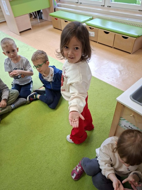 Sówki: Kwiecień 2026 - Zdjęcie 246