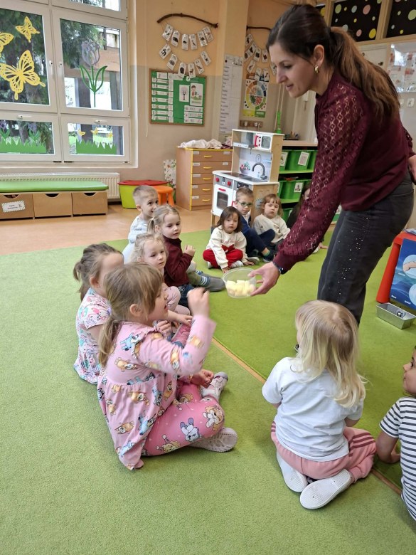 Sówki: Kwiecień 2026 - Zdjęcie 249