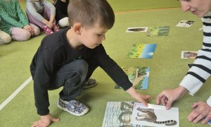 Sówki: Kwiecień 2026 - Zdjęcie 306