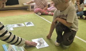 Sówki: Kwiecień 2026 - Zdjęcie 308