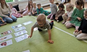 Sówki: Kwiecień 2026 - Zdjęcie 60