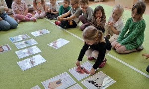 Sówki: Kwiecień 2026 - Zdjęcie 100