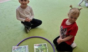 Sówki: Kwiecień 2026 - Zdjęcie 121