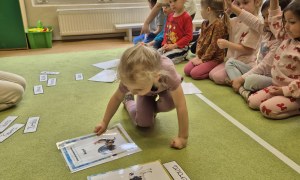 Sówki: Kwiecień 2026 - Zdjęcie 125