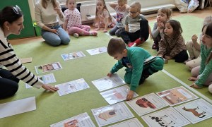Sówki: Kwiecień 2026 - Zdjęcie 131