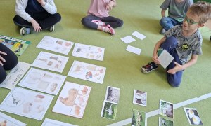 Sówki: Kwiecień 2026 - Zdjęcie 160