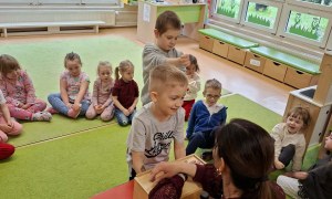 Sówki: Kwiecień 2026 - Zdjęcie 201