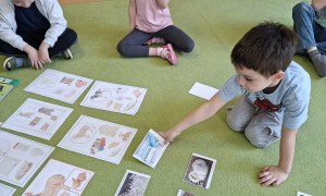 Sówki: Kwiecień 2026 - Zdjęcie 215