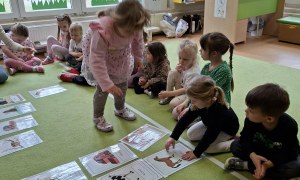 Sówki: Kwiecień 2026 - Zdjęcie 4