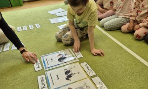 Sówki: Kwiecień 2026 - Zdjęcie 56