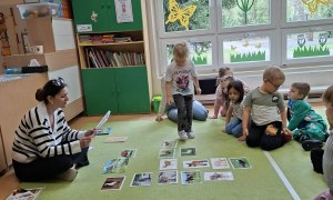 Sówki: Kwiecień 2026 - Zdjęcie 139