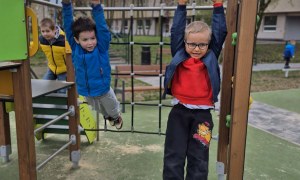 Sówki: Kwiecień 2026 - Zdjęcie 151