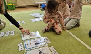 Sówki: Kwiecień 2026 - Zdjęcie 162