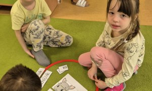 Sówki: Kwiecień 2026 - Zdjęcie 165