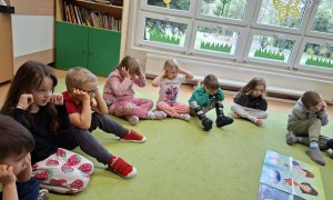 Sówki: Kwiecień 2026 - Zdjęcie 179