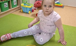 Sówki: Kwiecień 2026 - Zdjęcie 232