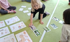 Sówki: Kwiecień 2026 - Zdjęcie 238