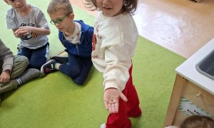 Sówki: Kwiecień 2026 - Zdjęcie 246