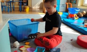 Tygryski: Kwiecień 2026 - Zdjęcie 11