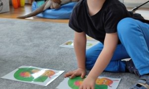 Tygryski: Kwiecień 2026 - Zdjęcie 57
