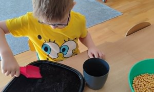 Tygryski: Kwiecień 2026 - Zdjęcie 22