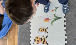 Tygryski: Kwiecień 2026 - Zdjęcie 51