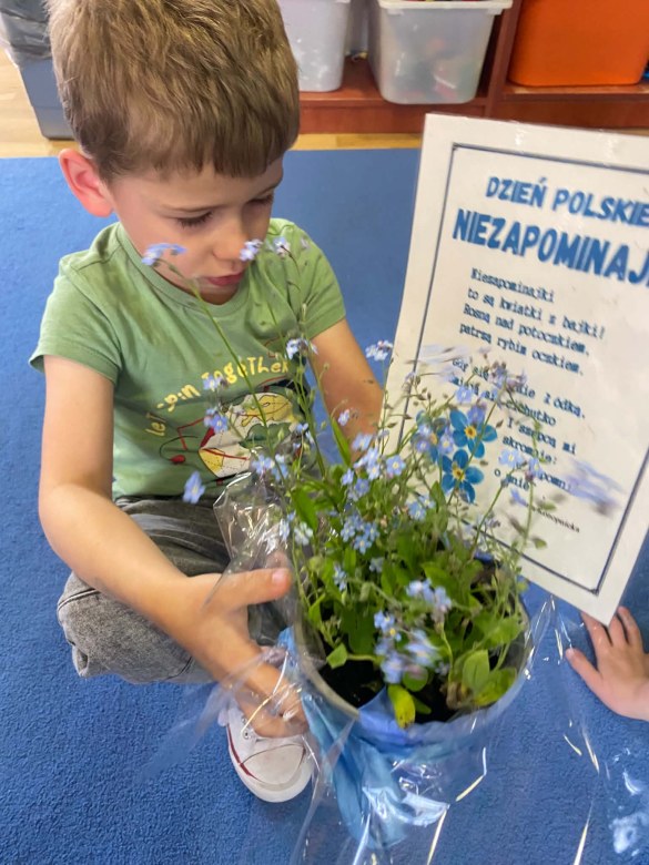 Dzień Polskiej Niezapominajki - Zdjęcie 14