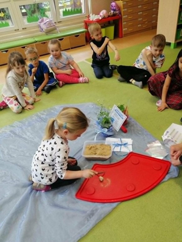 Dzień Polskiej Niezapominajki - Zdjęcie 16