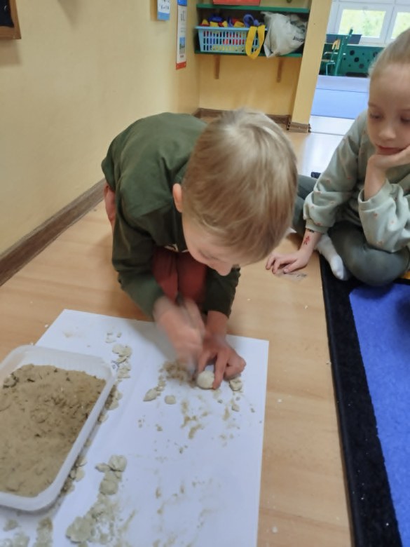Dzień Polskiej Niezapominajki - Zdjęcie 19