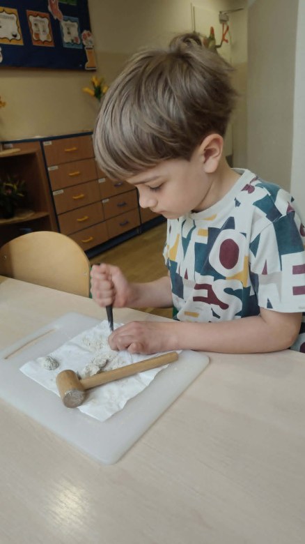 Dzień Polskiej Niezapominajki - Zdjęcie 25