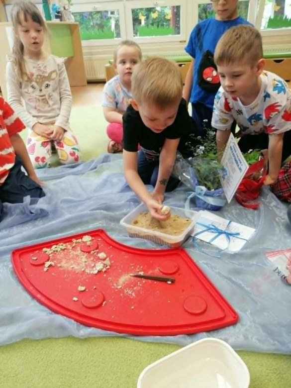 Dzień Polskiej Niezapominajki - Zdjęcie 37