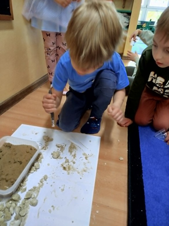 Dzień Polskiej Niezapominajki - Zdjęcie 44