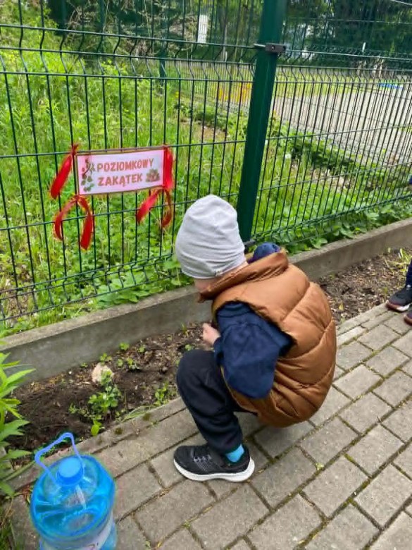 Dzień Polskiej Niezapominajki - Zdjęcie 53
