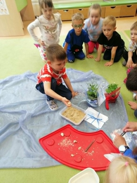 Dzień Polskiej Niezapominajki - Zdjęcie 62