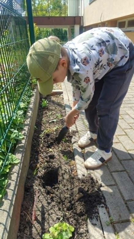 Dzień Polskiej Niezapominajki - Zdjęcie 111