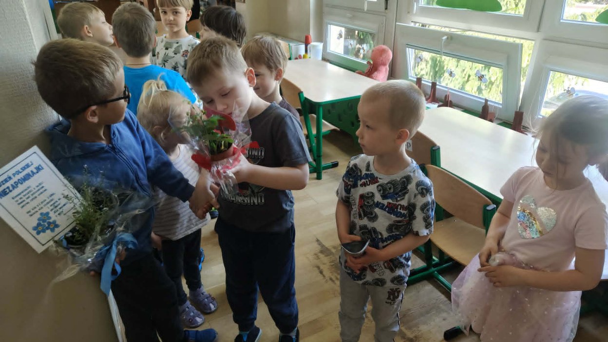 Dzień Polskiej Niezapominajki - Zdjęcie 123