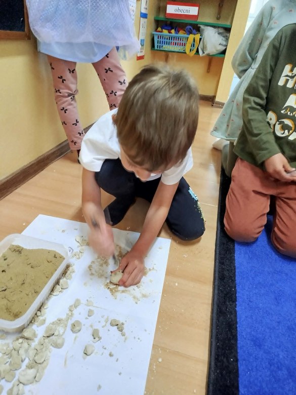 Dzień Polskiej Niezapominajki - Zdjęcie 130