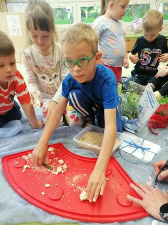 Dzień Polskiej Niezapominajki - Zdjęcie 102