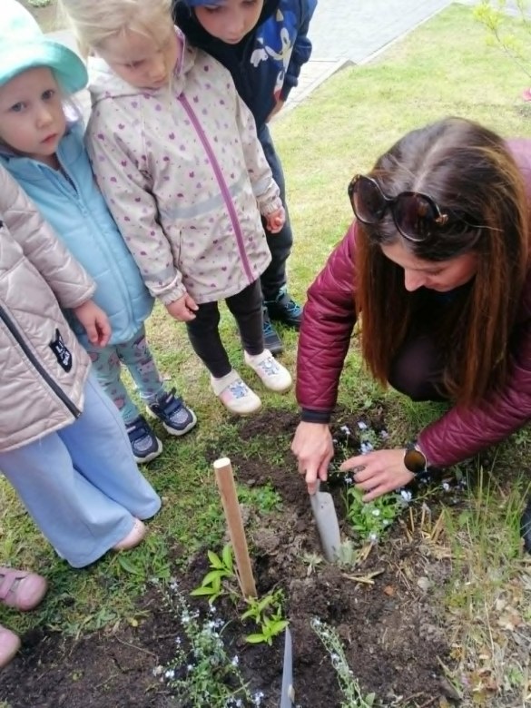 Dzień Polskiej Niezapominajki - Zdjęcie 131
