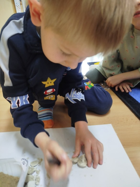 Dzień Polskiej Niezapominajki - Zdjęcie 135