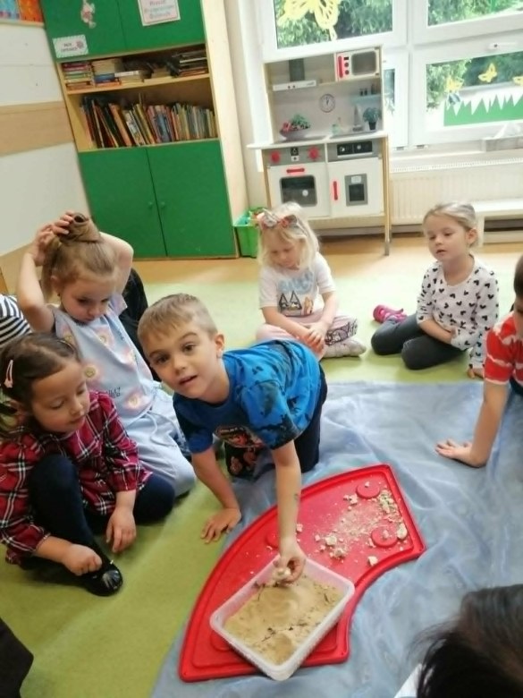 Dzień Polskiej Niezapominajki - Zdjęcie 141