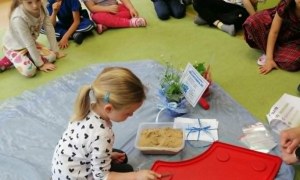 Dzień Polskiej Niezapominajki - Zdjęcie 16