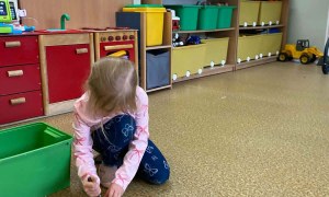Dzień Polskiej Niezapominajki - Zdjęcie 18