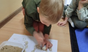 Dzień Polskiej Niezapominajki - Zdjęcie 19