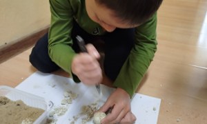 Dzień Polskiej Niezapominajki - Zdjęcie 32